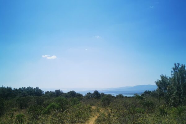 Day 6 Photo 3