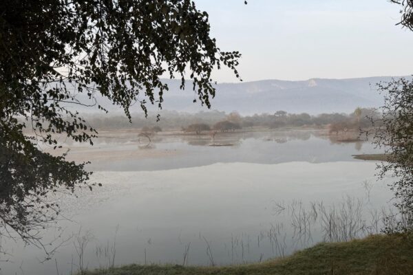 b1c6f8a4-7fe8-4810-89ac-8532f94b43cd