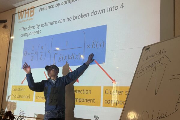 d7434f91-fffc-46b6-9d0f-618a51b1b1a0