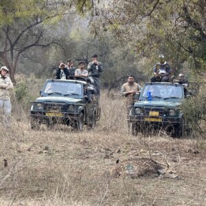 20260223_044656766_iOS