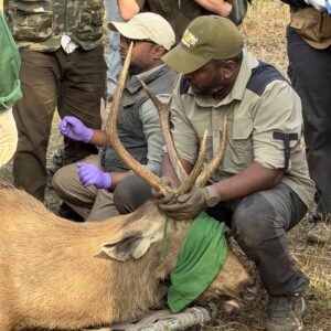 20260224_041920702_iOS